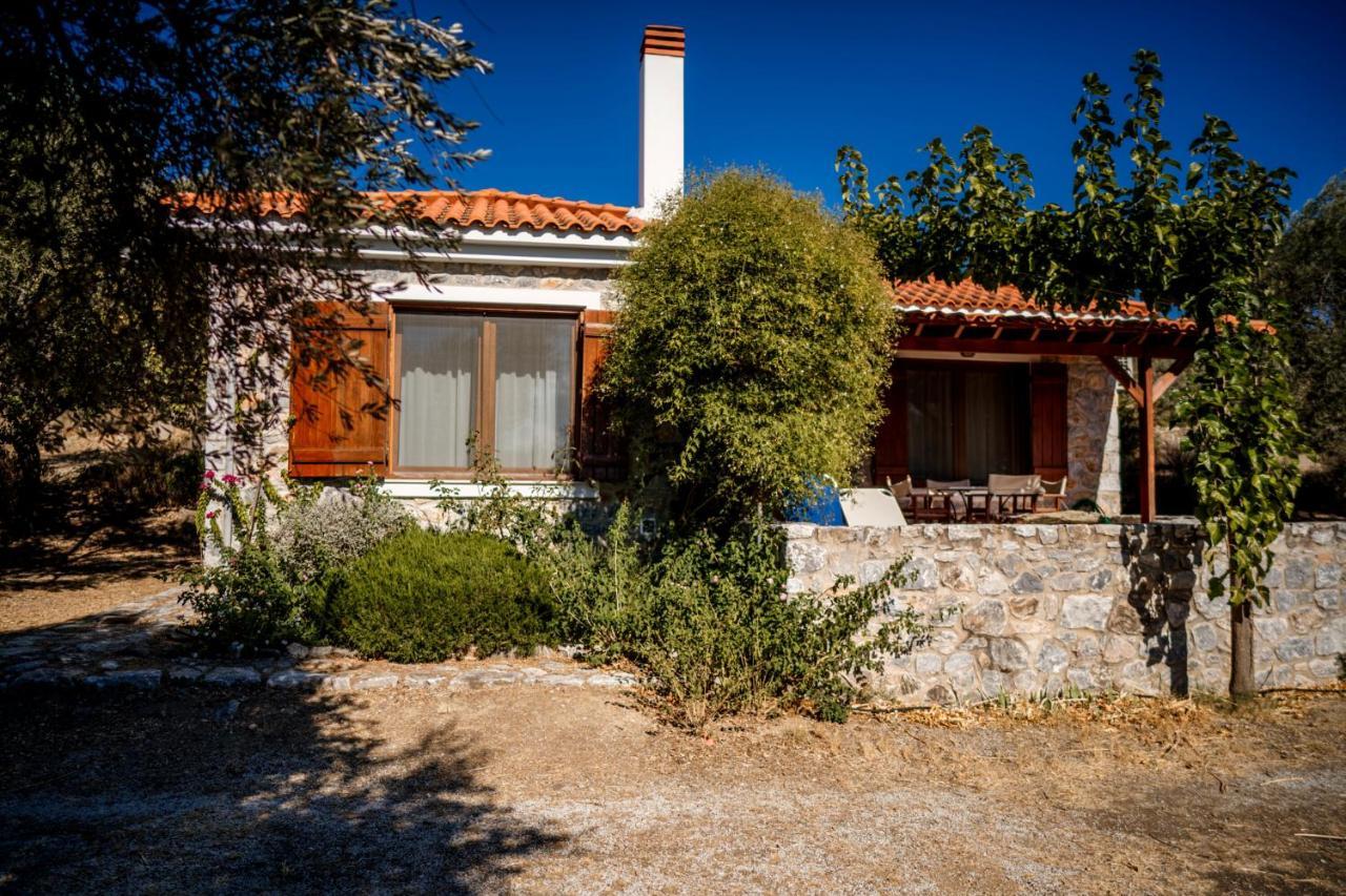 Traditional Architecture Seafront Stone House In 25000Sqm Olive Grove - C Villa Alyfanta Exterior foto